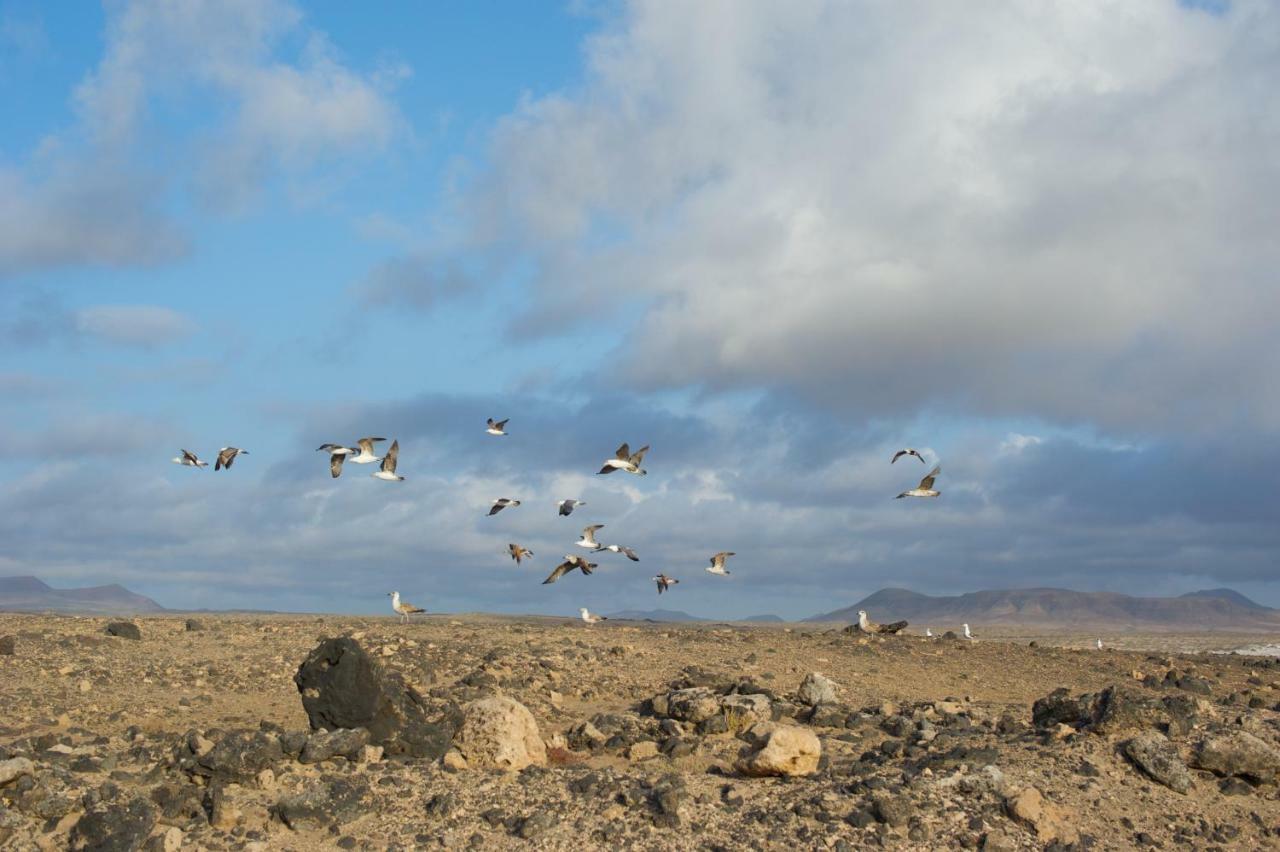 Molino De El Roque Apartman Cotillo Kültér fotó